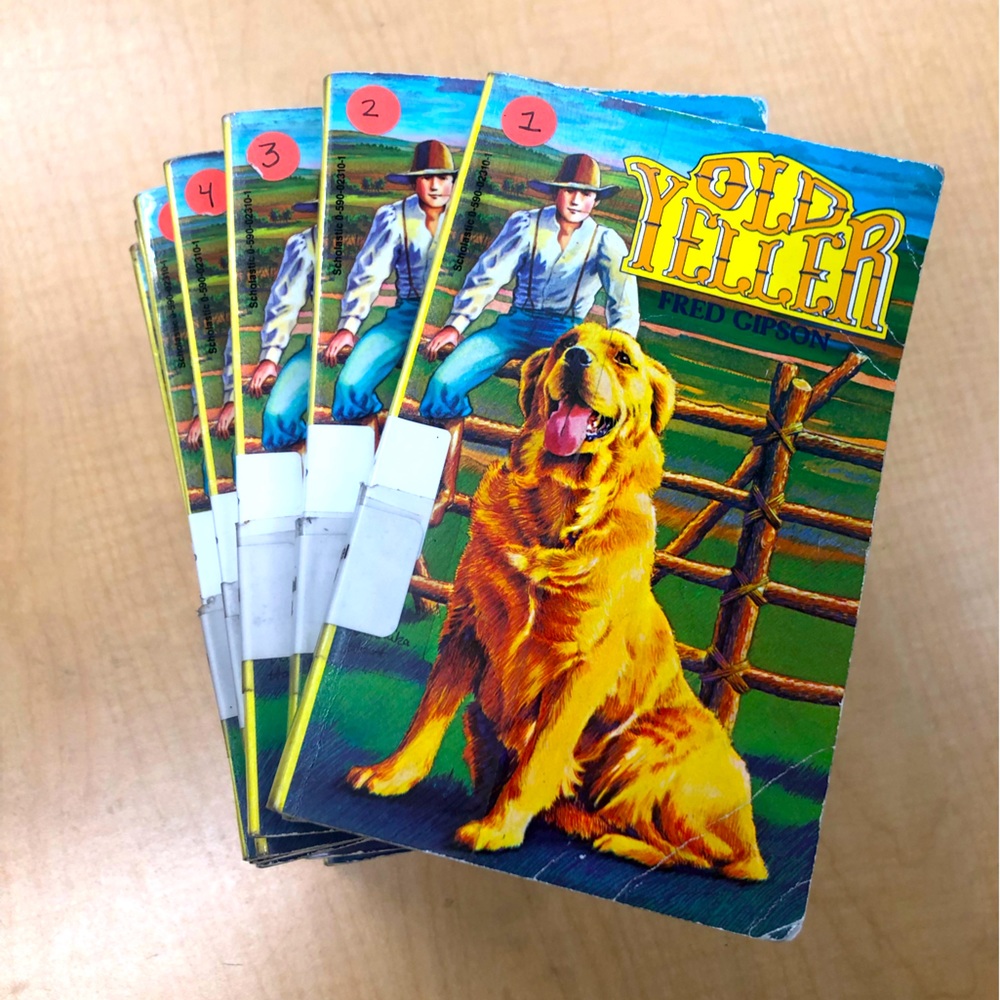 Class set of Old Yeller books